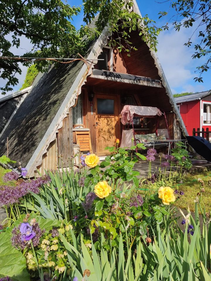 Pachtgarten Garten Gartenhaus Finnhütte Bad Langensalza Thüringen in