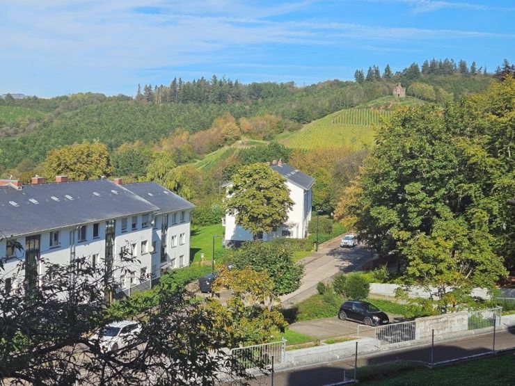 Möblierte Einzimmerwohnung mit Balkon in der Nähe der Universität in Trier