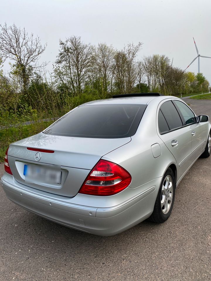 Mercedes Benz E 240 ELEGANCE TÜV Neu / 70000km / Scheckheft in Trier