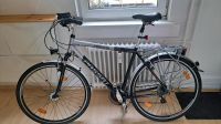 Passat Fahrrad Herren 28 " 21 Gang Shimano Frankfurt am Main - Altstadt Vorschau