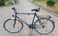 Fahrrad  28 Zoll von Cycle wole Berlin - Spandau Vorschau