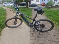 E-Bike Raymon Nineray 8.0 Gepflegter Zustand Hessen - Rüsselsheim Vorschau