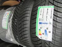 Nexen N`blue 4Seasons 225/50 R17 98V Allwetterreifen M+S Neu !! Rheinland-Pfalz - Ockenheim Vorschau