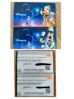 2 x Eintrittskarte Disneyland Paris beide Parks Rheinland-Pfalz - Kirn Vorschau