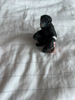 Schleich Bonobo Weibchen *NEU* 17088 Niedersachsen - Isernhagen Vorschau