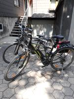 E-Bike Herren Niedersachsen - Wangerland Vorschau