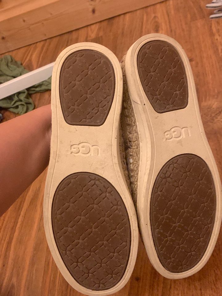 Ugg Schuhe 37 in Möckmühl