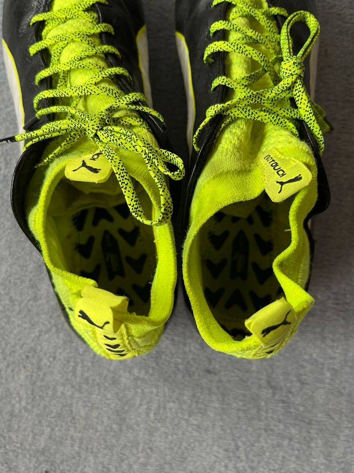 Puma Fußballschuhe EvoTouch Pro FG Gr. 41 in Bremen