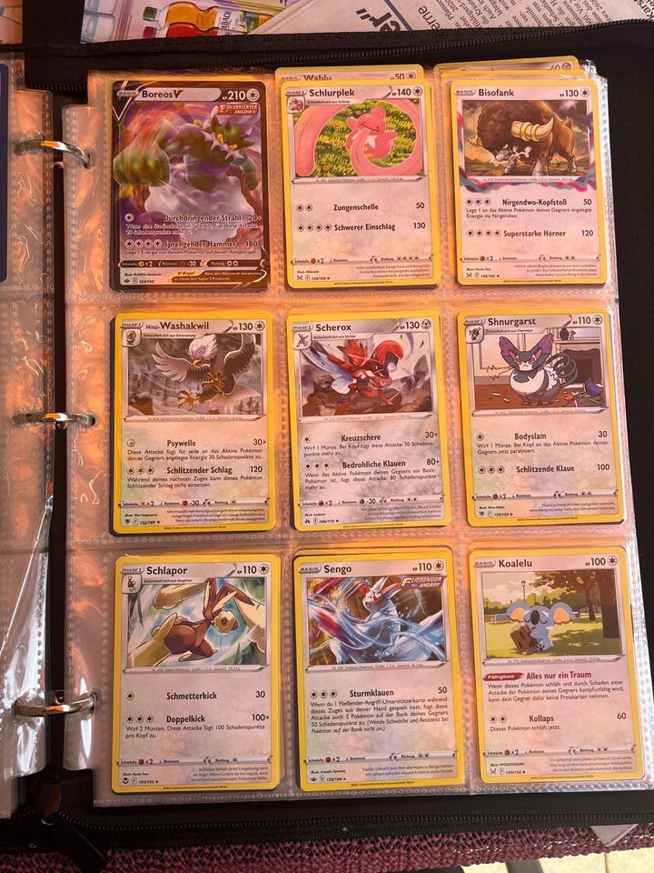 Pokémon Sammlung in Türkheim