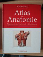 Atlas der Anatomie Sachsen - Reinsdorf Vorschau