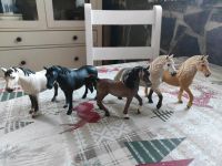 Schleich Hengst Thüringen - Schleiz Vorschau