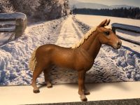 SCHLEICH Pferd Morgan Horse Hengst NEU Baden-Württemberg - Rottenburg am Neckar Vorschau