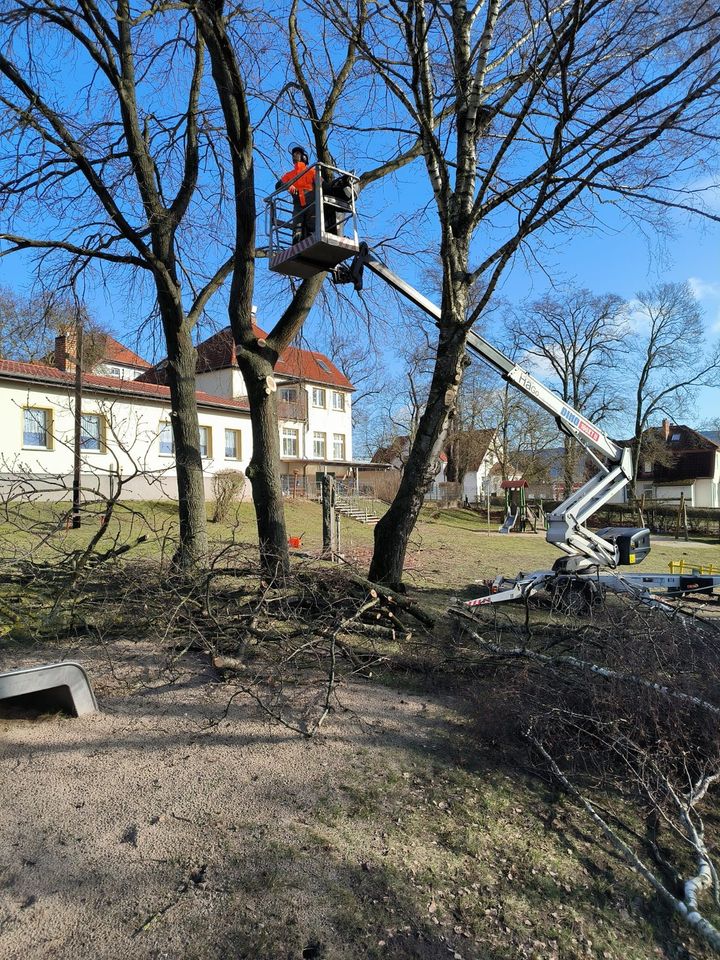 Hausmeisterservice Wolgast in Wolgast