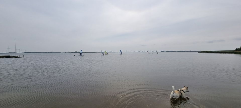 Ferienhaus ⚓ Chalet in Holland, nahe Nordsee, Wattenmeer-Blick⚓ in Hattingen