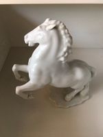 Porzellanfigur Pferd aufsteigendes Pferd weiß Nordrhein-Westfalen - Dorsten Vorschau