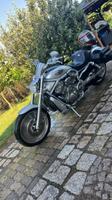 Harley-Davidson V Rod 100 Jahre Harley Davidson Sachsen-Anhalt - Thale Vorschau