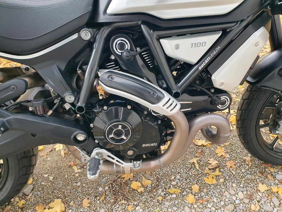 Ducati Scrambler 1100 pro in Hohenschäftlarn