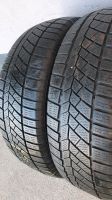 2x Continental 195/65 R16 92H 5,5mm Winterreifen TOP!!! Nordrhein-Westfalen - Hagen Vorschau