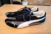 Puma Sportschuhe Gr. 43 Turnschuhe Damen Bayern - Karlstein Vorschau