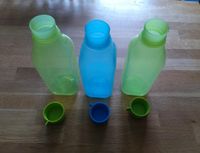 Tupperware,Eco easy,Eidgenossen, Playmobil,Gewürzzwerge, u.s.w Niedersachsen - Dornum Vorschau