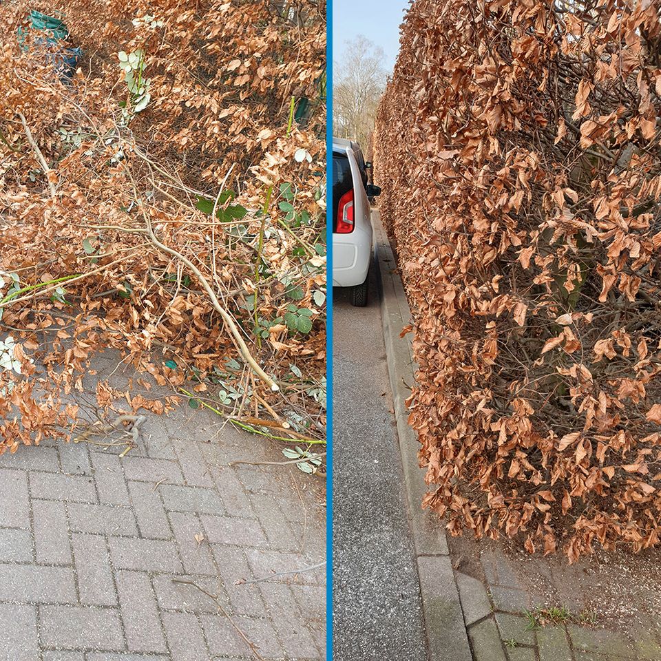 ✅Gebäudereinigung ✅Gartenpflege ✅ Hausmeister ✅ Winterdienst in Hamburg