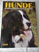 Hunde -  Abstammung, Anschaffung, Erziehung, Pflege, Rassen Sachsen - Werdau Vorschau