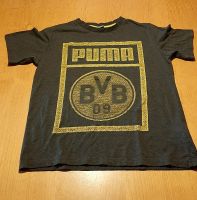 BVB original T-Shirt Gr.164 Dithmarschen - Ramhusen Vorschau