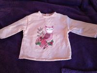 rosa Pulli von Zara BabyGirl Gr.74 mit Eule und Blumen Berlin - Biesdorf Vorschau