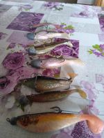 Hecht gummifisch Bayern - Schwabsoien Vorschau