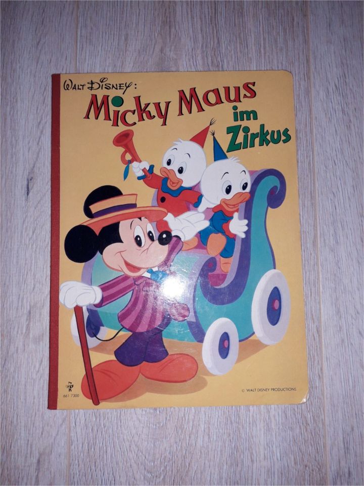 Micky Maus Hefte 1984 - 1991 und Kinderbuch in Reppenstedt