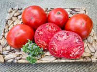 Grandma's beste Fleischtomate lecker alte Haussorte TOP ERTRAG! Bayern - Waigolshausen Vorschau