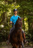 Beritt und Unterricht mit GP Reiter Rafael Ballester Nordrhein-Westfalen - Goch Vorschau