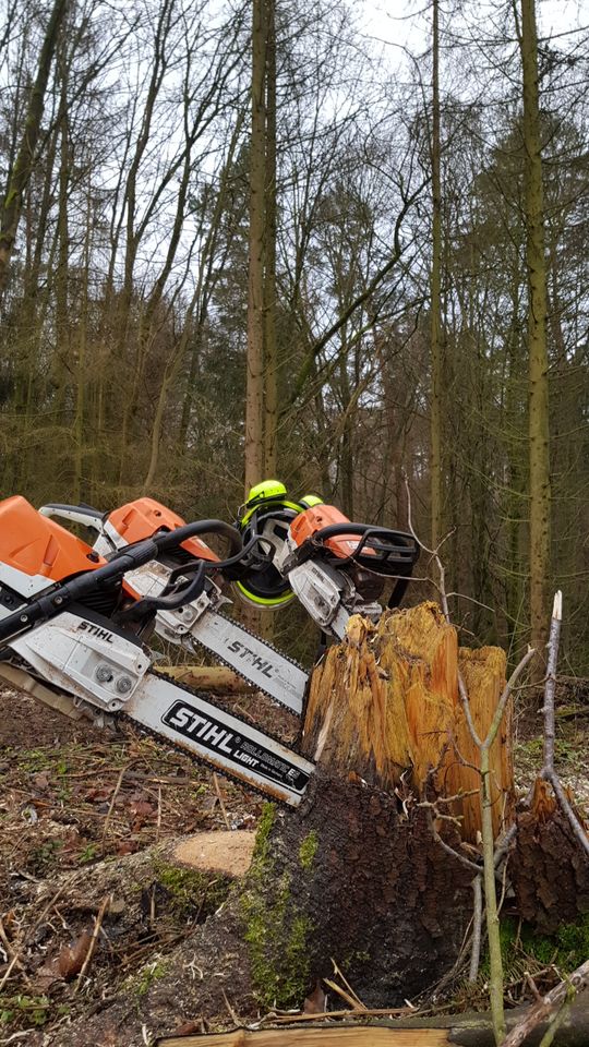 Gartenpflege - Baumfällungen - Baumpflege in Holzerode