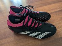 Fußball Schuhe von Adidas Predator Größe 40 Sachsen - Machern Vorschau