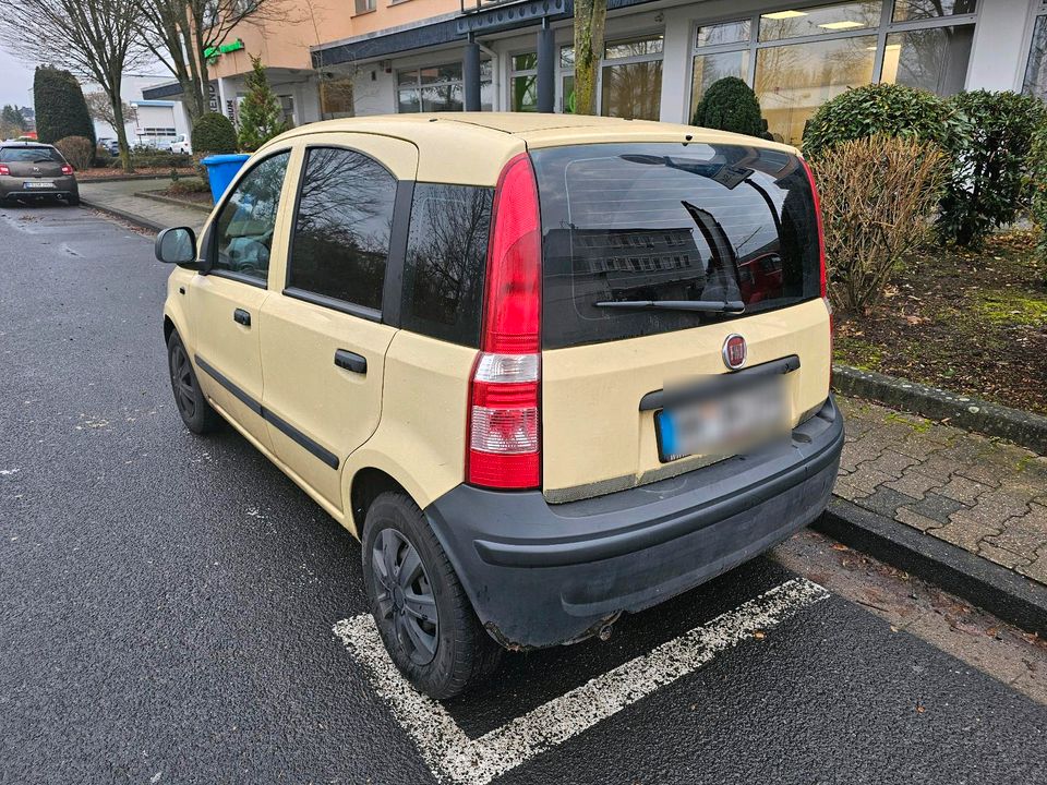 Fiat Panda in Rodenbach