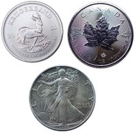 Diverse 1 Oz Silber Anlagemünzen Maple Leaf, Krügerrand usw Hessen - Bruchköbel Vorschau