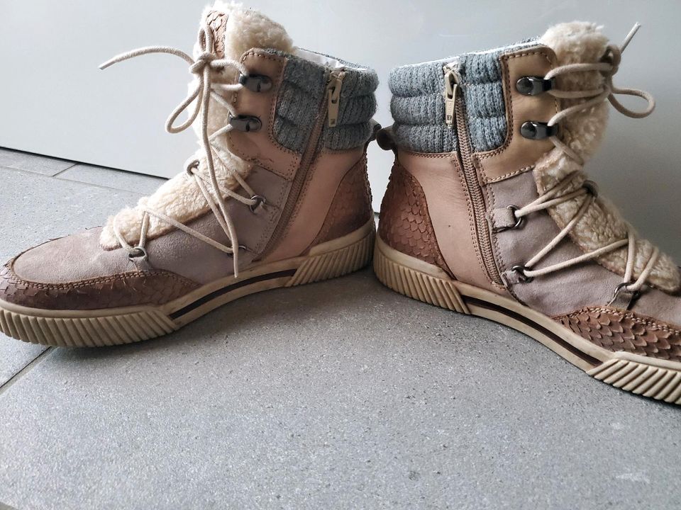 Boots Schnürstiefel Wildleder beige braun taupe gefüttert in Rimpar