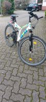 Fahrräder Herren Jugend Damen Rheinland-Pfalz - Germersheim Vorschau