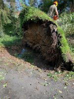 Baum Sturmschadenbeseitigung Hessen - Schlüchtern Vorschau