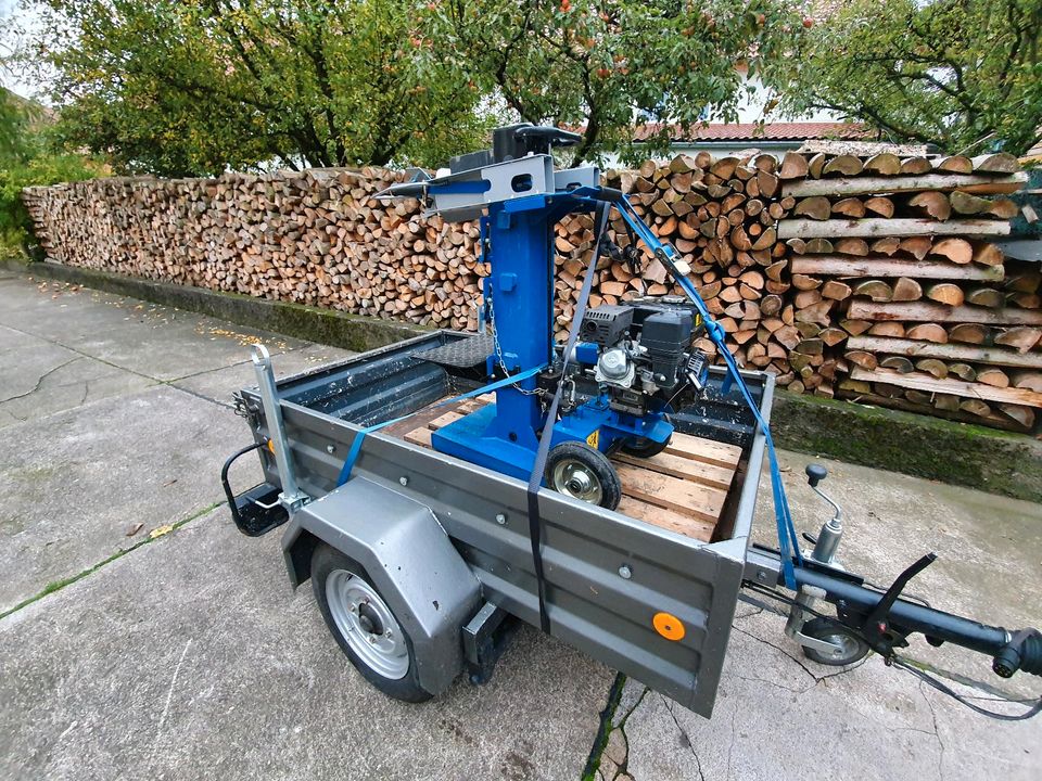 Mieten Vermietung Mobiler Benzin Holzspalter 11 To in Schimberg