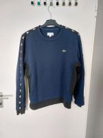 Lacoste Pullover Gr.S Hessen - Altenstadt Vorschau