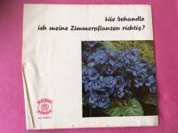 Broschüre- Wie behandle ich Zimmerpflanzen richtig Keyzers Dünger Rheinland-Pfalz - Bekond Vorschau