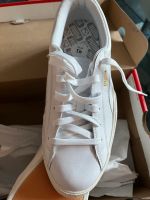 Puma Sneaker 41 neu Nordrhein-Westfalen - Gladbeck Vorschau