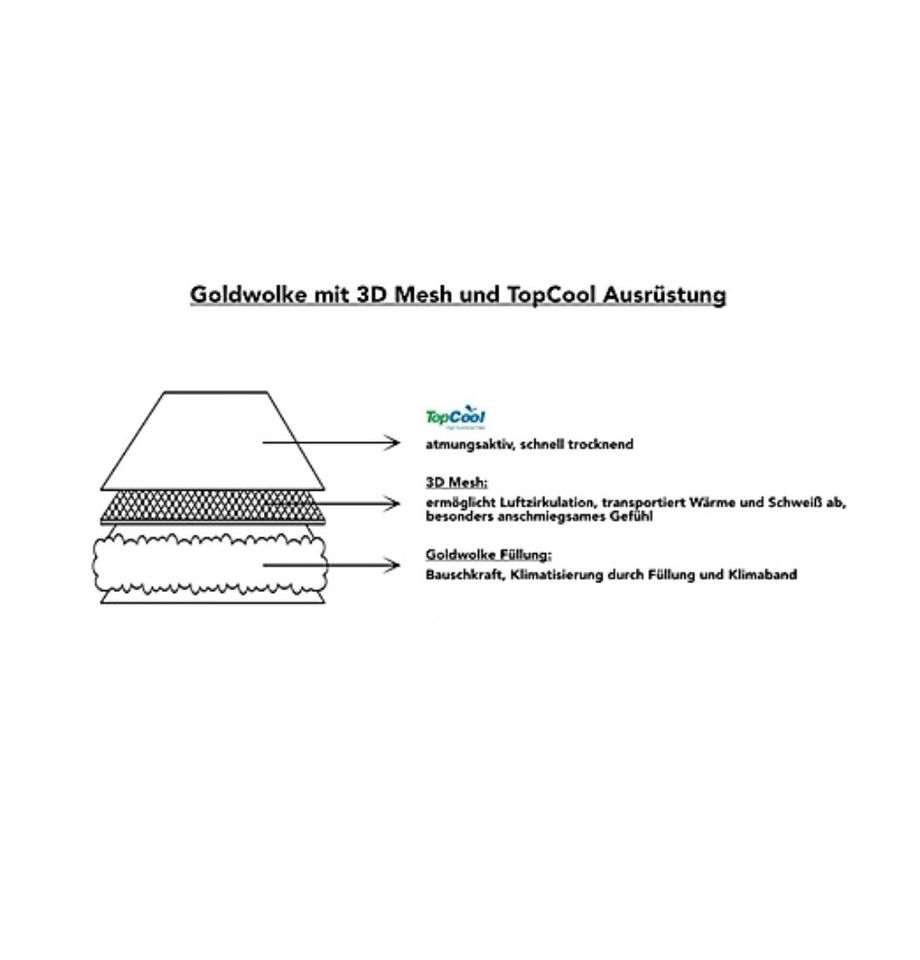 Unterbett / Matratzenauflage Goldwolle in Untermeitingen