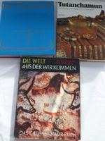 Bücher über die Wickinger, Tutanachum und die Welt aus der wir ko Nordrhein-Westfalen - Dinslaken Vorschau