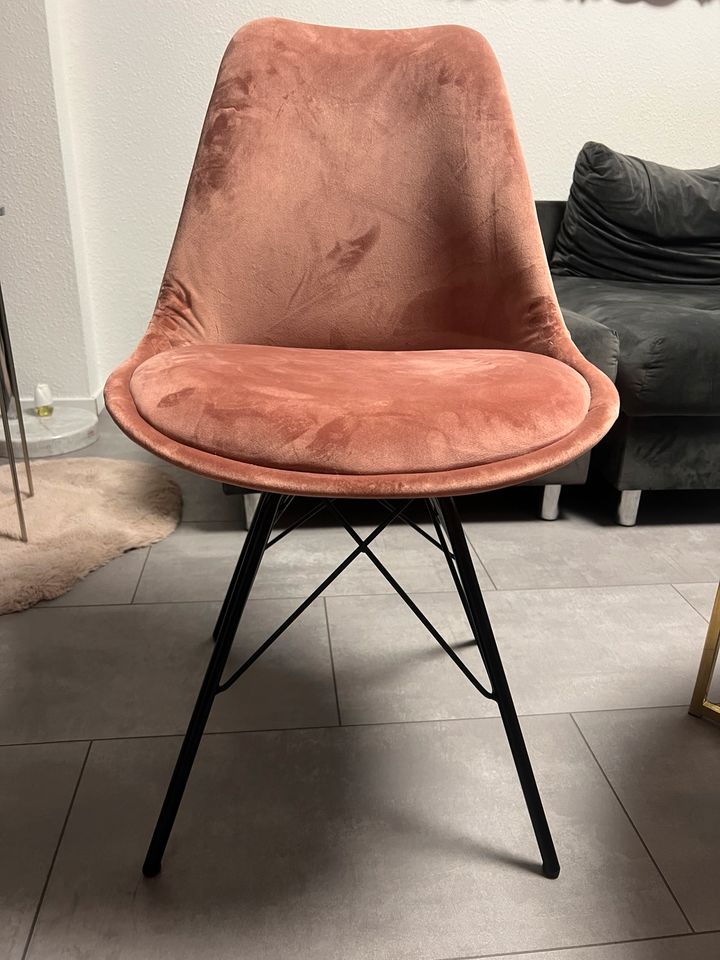 Ess Stühle samt rosa 4 Stück in Köln