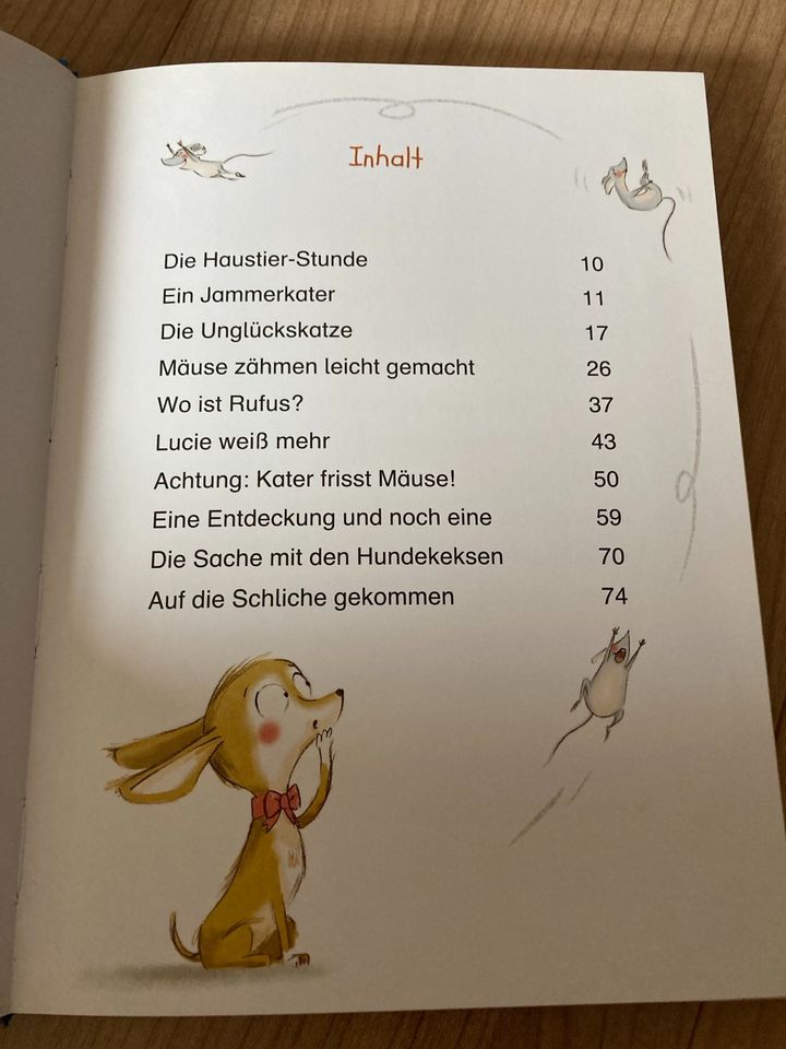 Kinderbücher 6-10 J. Kleine Dame, Conni, Pfötchen-Gang in Reppenstedt