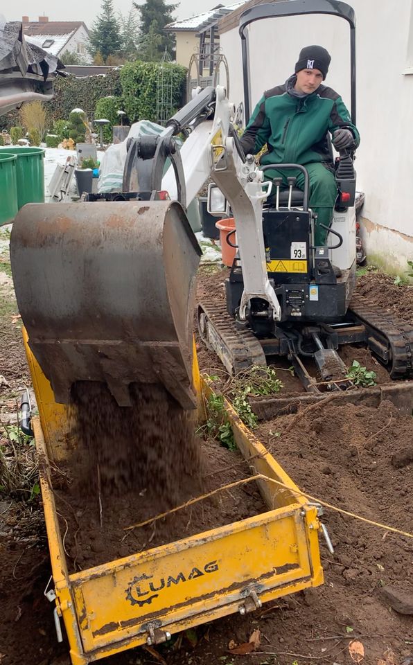 Gartenarbeit Baumfällung Rodungsarbeiten Wurzelentfernung Verleih in Höchstadt