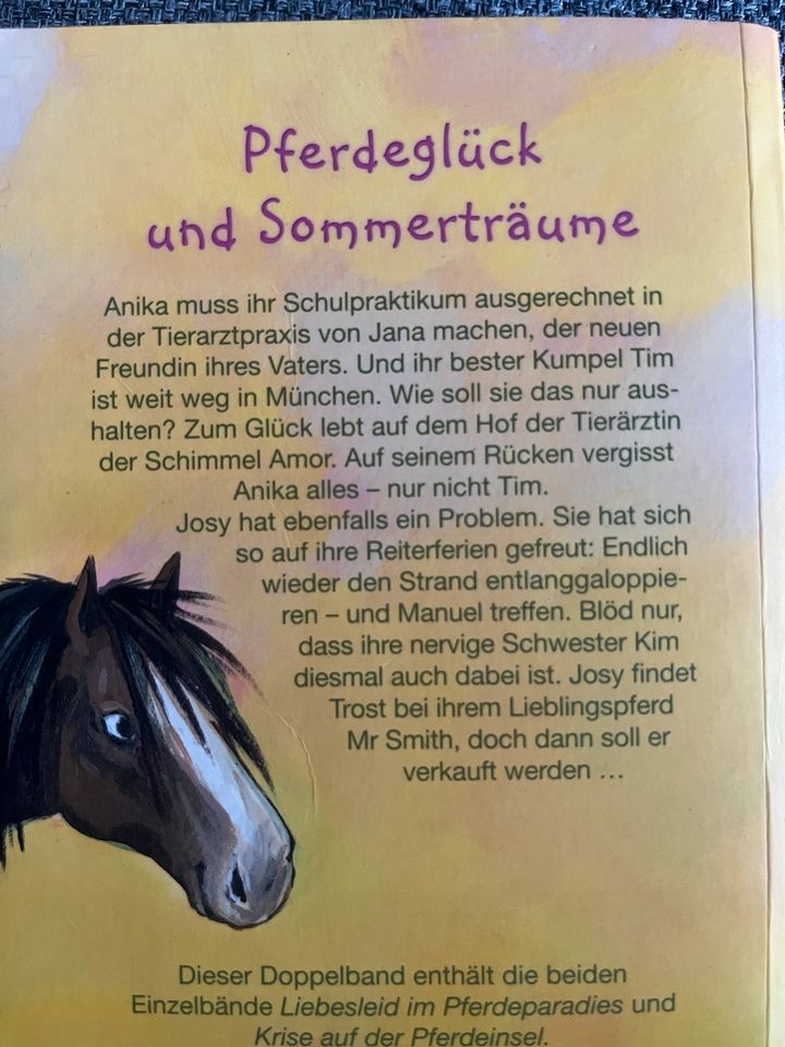 Kinderbuch - Pferdeglück und Sommerträume in Bad Laer