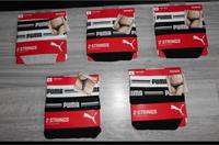 Puma Strings Niedersachsen - Wilhelmshaven Vorschau
